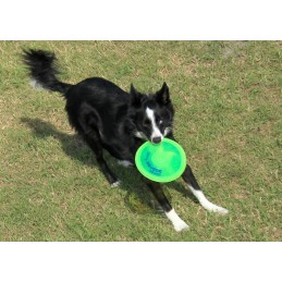 Létající talíř AEROBIE DOGOBIE 20cm | YELLOW