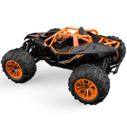 RC car Truggy DF MODELS...