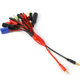 RC Laden EV-PEAK Multi...