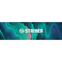 Griptape STRIKER 165x573mm | AURORA COAST